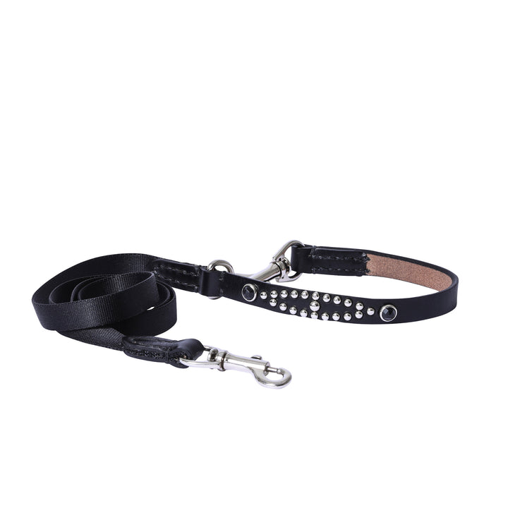 DOG LEAD
